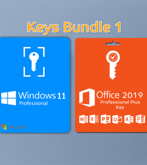 windows11and office bundel