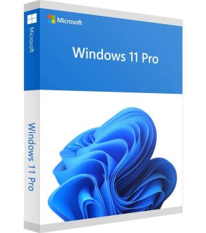 ‎Windows 11 Pro Lifetime License Key – 1PC